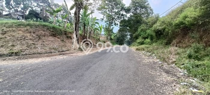 Tanah Dijual Lokasi Cipanas Cianjur SHM Tanah Dijual Lokasi Cipanas Cianjur SHM