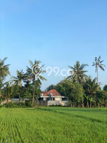 Rumah Bisa KPR 2 Kamar Tidur di Piyungan, Bebas Banjir, Bantul Rumah Bisa KPR 2 Kamar Tidur di Piyungan, Bebas Banjir, Bantul