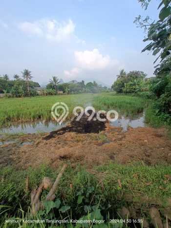 Lahan Dijual Lokasi Cariu, Bogor dengan Luas Tanah 12000m2 dan Status SHM Lahan Dijual Lokasi Cariu, Bogor dengan Luas Tanah 12000m2 dan Status SHM