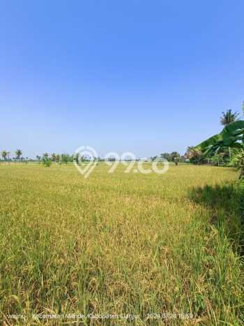 Tanah Dijual Lokasi Mande, Cianjur dengan Luas Tanah 11364m2 dan Status SHM Tanah Dijual Lokasi Mande, Cianjur dengan Luas Tanah 11364m2 dan Status SHM