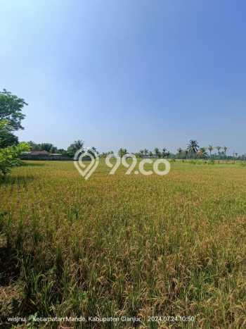 Tanah Dijual Lokasi Mande, Cianjur dengan Luas Tanah 11364m2 dan Status SHM Tanah Dijual Lokasi Mande, Cianjur dengan Luas Tanah 11364m2 dan Status SHM
