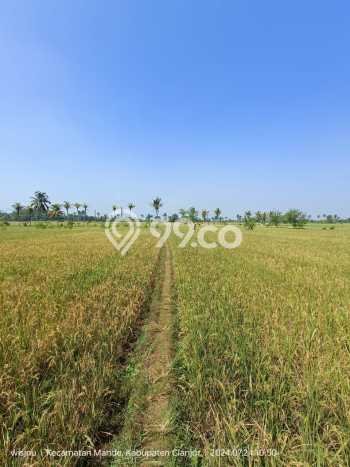 Tanah Dijual Lokasi Mande, Cianjur dengan Luas Tanah 11364m2 dan Status SHM Tanah Dijual Lokasi Mande, Cianjur dengan Luas Tanah 11364m2 dan Status SHM