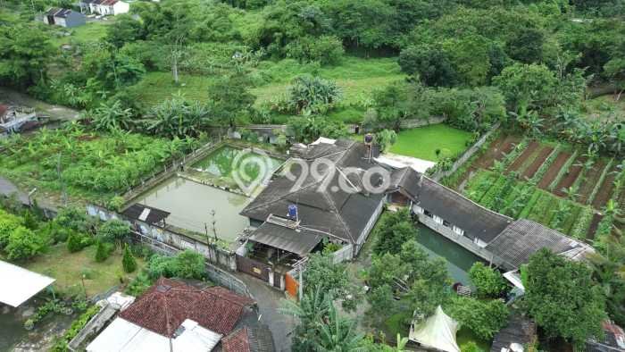 Tanah Kavling untuk Dijual di Caringin Bogor 1974m2 Tanah Kavling untuk Dijual di Caringin Bogor 1974m2