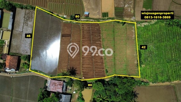 Kavling Tanah di Kebonpedes Dijual Luas 3388m2 Legalitas SHM Kavling Tanah di Kebonpedes Dijual Luas 3388m2 Legalitas SHM