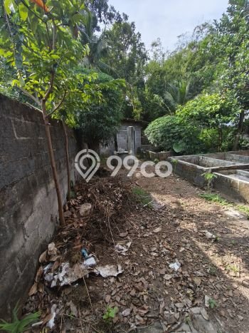 Jual Rumah Murah Meriah Borobudur Punya 2 KT & LT 277m2 Jual Rumah Murah Meriah Borobudur Punya 2 KT & LT 277m2