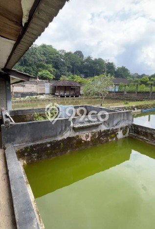 Lahan Dijual Lokasi Caringin, Bogor dengan Luas Tanah 710m2 dan Status SHM Lahan Dijual Lokasi Caringin, Bogor dengan Luas Tanah 710m2 dan Status SHM