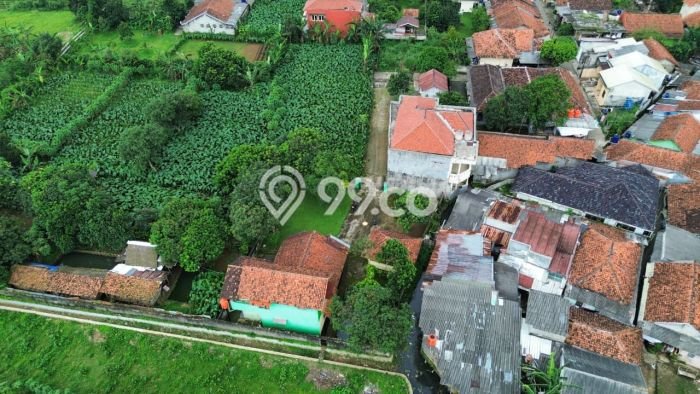 Tanah Dijual Lokasi Ciampea Bogor SHM Tanah Dijual Lokasi Ciampea Bogor SHM