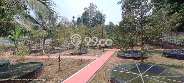 Kavling Tanah Dijual di Baros, Serang, Luas 18792m2 Area Strategis Kavling Tanah Dijual di Baros, Serang, Luas 18792m2 Area Strategis