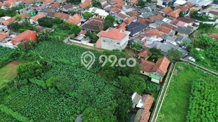 Tanah Dijual Lokasi Ciampea Bogor SHM Tanah Dijual Lokasi Ciampea Bogor SHM