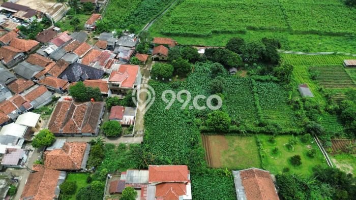 Tanah Dijual Lokasi Ciampea Bogor SHM Tanah Dijual Lokasi Ciampea Bogor SHM