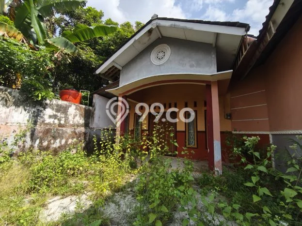 Rumah Minimalis Dijual Lokasi Mertoyudan 3 Kamar dengan Luas Tanah 335m2 Rumah Minimalis Dijual Lokasi Mertoyudan 3 Kamar dengan Luas Tanah 335m2