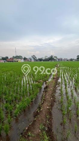 Lahan Dijual Lokasi Ciparay, Bandung dengan Luas Tanah 21000m2 dan Status SHM Lahan Dijual Lokasi Ciparay, Bandung dengan Luas Tanah 21000m2 dan Status SHM