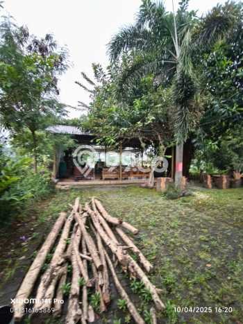 Kavling Tanah di Pameungpeuk Dijual Luas 1334m2 Legalitas AJB Kavling Tanah di Pameungpeuk Dijual Luas 1334m2 Legalitas AJB