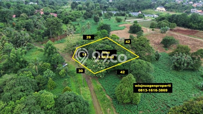 Tanah Strategis Dijual di Tajur Halang Bogor 1663m2 Tanah Strategis Dijual di Tajur Halang Bogor 1663m2