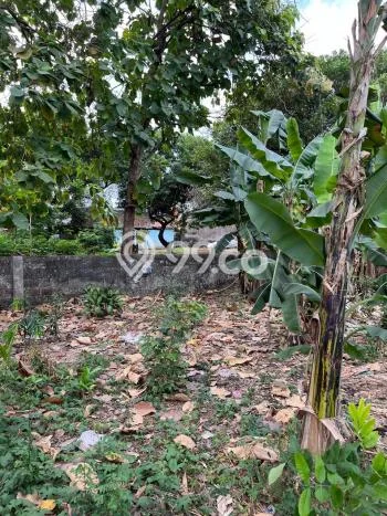 Tanah Kavling Dijual di Bekasi dengan Spesifikasi 650m2 Tanah Kavling Dijual di Bekasi dengan Spesifikasi 650m2