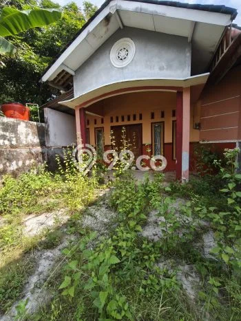 Rumah Minimalis Dijual Lokasi Mertoyudan 3 Kamar dengan Luas Tanah 335m2 Rumah Minimalis Dijual Lokasi Mertoyudan 3 Kamar dengan Luas Tanah 335m2