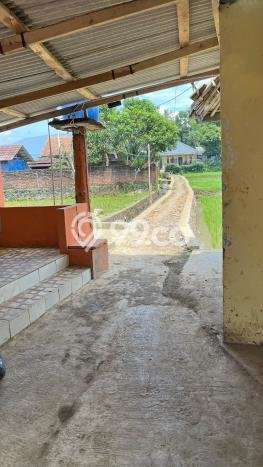 Kavling Tanah di Kebonpedes Dijual Luas 3388m2 Legalitas SHM Kavling Tanah di Kebonpedes Dijual Luas 3388m2 Legalitas SHM