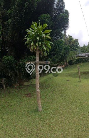 Tanah Kosong Dijual di Bogor dengan Area 800m2 Tanah Kosong Dijual di Bogor dengan Area 800m2