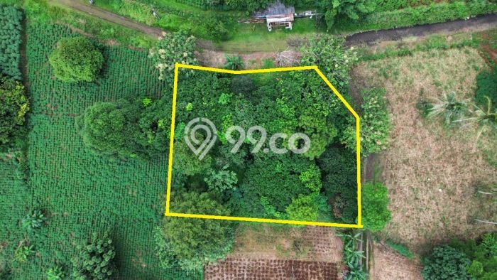 Tanah Strategis Dijual di Tajur Halang Bogor 1663m2 Tanah Strategis Dijual di Tajur Halang Bogor 1663m2