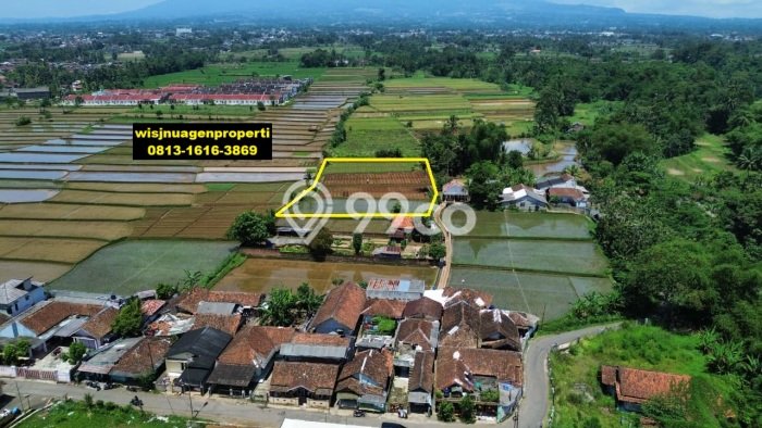 Kavling Tanah di Kebonpedes Dijual Luas 3388m2 Legalitas SHM Kavling Tanah di Kebonpedes Dijual Luas 3388m2 Legalitas SHM