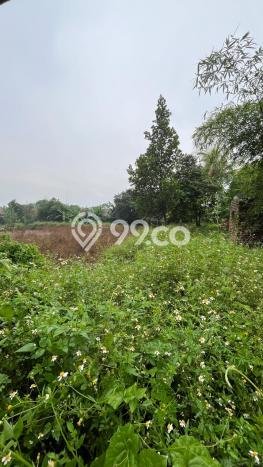 Tanah untuk Dijual Lokasi Ciparay, Bandung Luas 8000m2 - Tanah untuk Dijual Lokasi Ciparay, Bandung Luas 8000m2 -