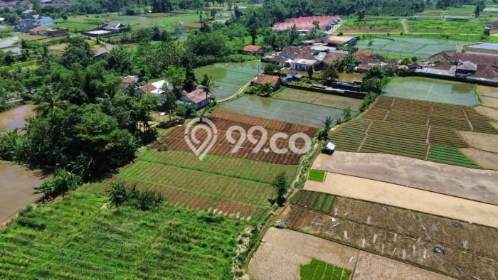 Kavling Tanah di Kebonpedes Dijual Luas 3388m2 Legalitas SHM Kavling Tanah di Kebonpedes Dijual Luas 3388m2 Legalitas SHM