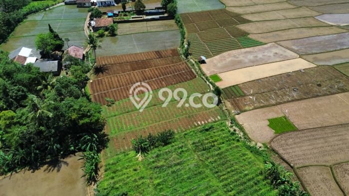 Kavling Tanah di Kebonpedes Dijual Luas 3388m2 Legalitas SHM Kavling Tanah di Kebonpedes Dijual Luas 3388m2 Legalitas SHM