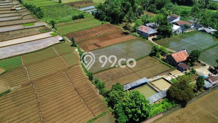 Kavling Tanah di Kebonpedes Dijual Luas 3388m2 Legalitas SHM Kavling Tanah di Kebonpedes Dijual Luas 3388m2 Legalitas SHM