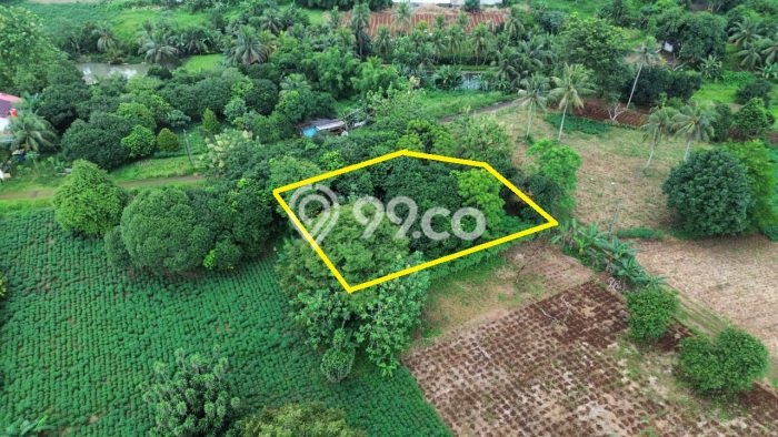 Tanah Strategis Dijual di Tajur Halang Bogor 1663m2 Tanah Strategis Dijual di Tajur Halang Bogor 1663m2