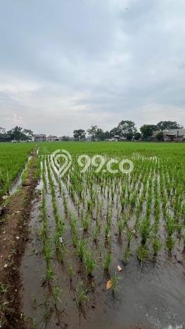 Lahan Dijual Lokasi Ciparay, Bandung dengan Luas Tanah 21000m2 dan Status SHM Lahan Dijual Lokasi Ciparay, Bandung dengan Luas Tanah 21000m2 dan Status SHM