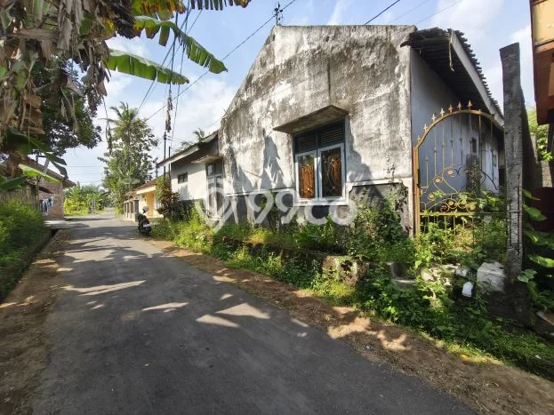 Rumah Minimalis Dijual Lokasi Mertoyudan 3 Kamar dengan Luas Tanah 335m2 Rumah Minimalis Dijual Lokasi Mertoyudan 3 Kamar dengan Luas Tanah 335m2