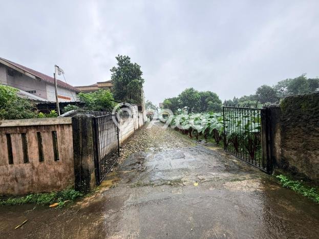 Tanah Dijual Lokasi Ciampea Bogor SHM Tanah Dijual Lokasi Ciampea Bogor SHM