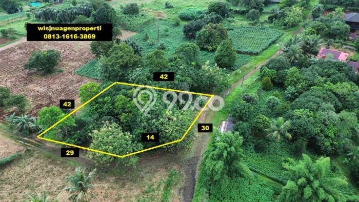 Tanah Strategis Dijual di Tajur Halang Bogor 1663m2 Tanah Strategis Dijual di Tajur Halang Bogor 1663m2