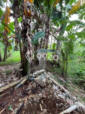 Jual Rumah Harga Miring Sawangan Punya 2 Kamar & LT 63m2 Jual Rumah Harga Miring Sawangan Punya 2 Kamar & LT 63m2
