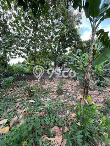 Tanah Kavling Dijual di Bekasi dengan Spesifikasi 650m2 Tanah Kavling Dijual di Bekasi dengan Spesifikasi 650m2
