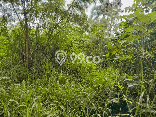Dijual Tanah Lokasi Cianjur Kota, Cianjur Seluas 1365m2 Dijual Tanah Lokasi Cianjur Kota, Cianjur Seluas 1365m2
