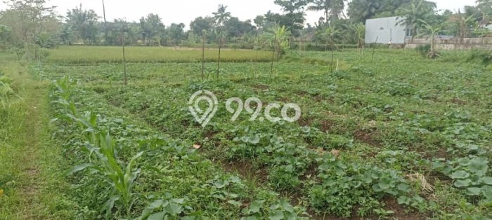 Tanah Kavling untuk Dijual di Karangtengah Cianjur 1645m2 Tanah Kavling untuk Dijual di Karangtengah Cianjur 1645m2