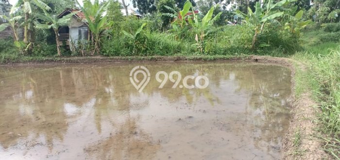 Tanah Kavling untuk Dijual di Karangtengah Cianjur 1645m2 Tanah Kavling untuk Dijual di Karangtengah Cianjur 1645m2