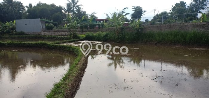 Tanah Kavling untuk Dijual di Karangtengah Cianjur 1645m2 Tanah Kavling untuk Dijual di Karangtengah Cianjur 1645m2