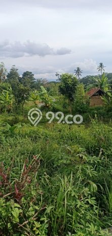 Tanah Kavling untuk Dijual di Karangtengah Cianjur 1645m2 Tanah Kavling untuk Dijual di Karangtengah Cianjur 1645m2