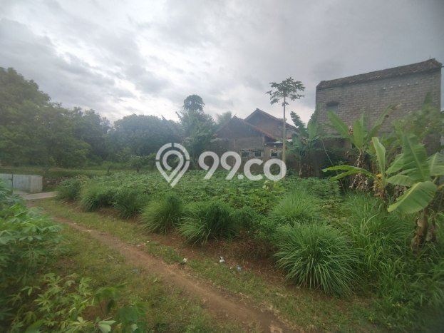 Tanah untuk Dijual Lokasi Karangtengah, Cianjur Luas 161m2 SHM Tanah untuk Dijual Lokasi Karangtengah, Cianjur Luas 161m2 SHM