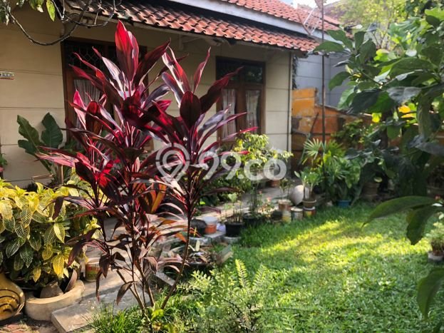 Rumah Premium LT 300m2m² / LB 172m2m² di Kawasan Asri Karangtengah, Cianjur Rumah Premium LT 300m2m² / LB 172m2m² di Kawasan Asri Karangtengah, Cianjur