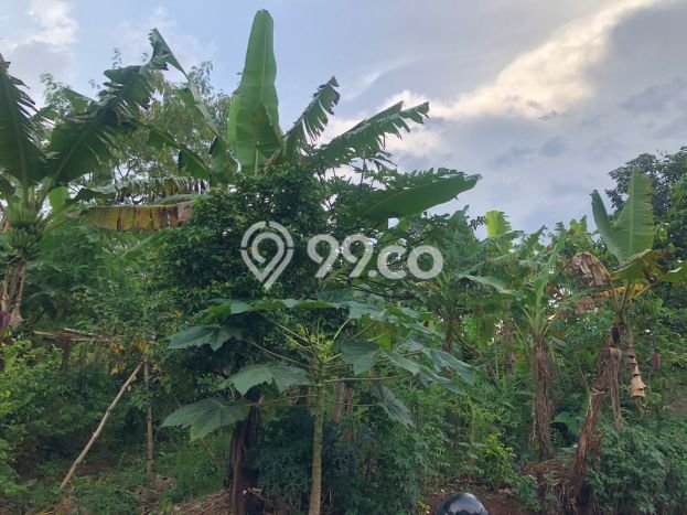 For Sale Tanah Kawasan Cilaku, Luas 3580m2m², Dekat Cilaku, Cianjur, Cianjur For Sale Tanah Kawasan Cilaku, Luas 3580m2m², Dekat Cilaku, Cianjur, Cianjur