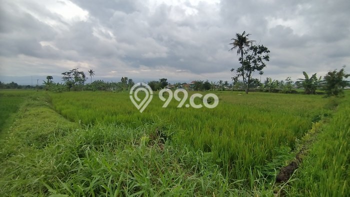 Tanah Dijual Lokasi Cianjur, Cianjur dengan Luas Tanah 6385m2 dan Status SHM Tanah Dijual Lokasi Cianjur, Cianjur dengan Luas Tanah 6385m2 dan Status SHM