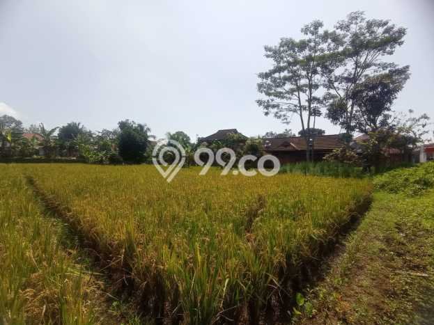 Tanah Kavling Dijual di Cianjur Kota, Cianjur dengan Luas Tanah 1034m2 Tanah Kavling Dijual di Cianjur Kota, Cianjur dengan Luas Tanah 1034m2