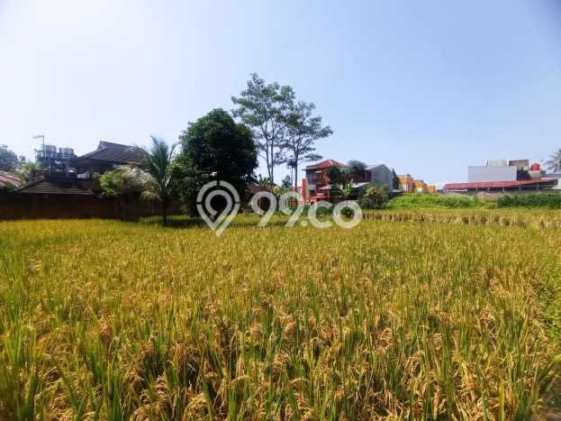 Tanah Kavling Dijual di Cianjur Kota, Cianjur dengan Luas Tanah 1034m2 Tanah Kavling Dijual di Cianjur Kota, Cianjur dengan Luas Tanah 1034m2