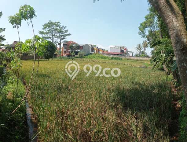 Tanah Kavling Dijual di Cianjur Kota, Cianjur dengan Luas Tanah 1034m2 Tanah Kavling Dijual di Cianjur Kota, Cianjur dengan Luas Tanah 1034m2