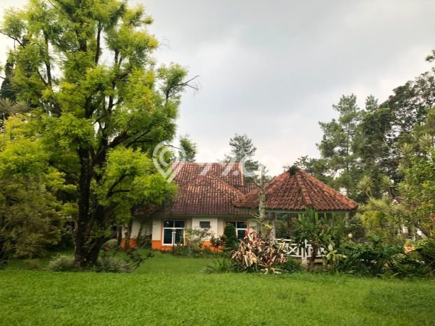 Dijual Cepat Rumah Bagus Siap Huni LB 220m2 di Cipanas, Cianjur Dijual Cepat Rumah Bagus Siap Huni LB 220m2 di Cipanas, Cianjur