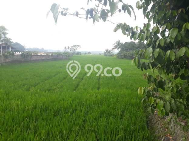 Tanah di Cibeber, Cianjur Luas 5700m2 Dijual Segera Tanah di Cibeber, Cianjur Luas 5700m2 Dijual Segera