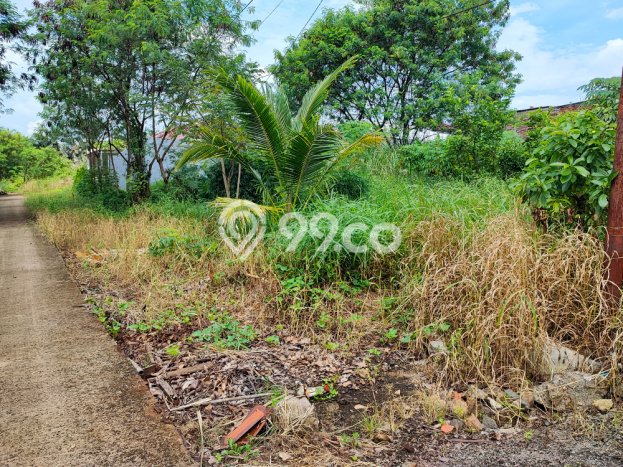 Tanah Dijual di Cianjur Seluas 359m2 Strategis Tanah Dijual di Cianjur Seluas 359m2 Strategis